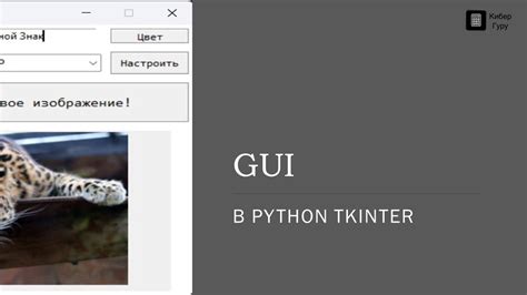 Основы работы с Tkinter в Python