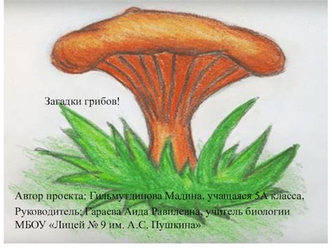 Основы рисования гриба-девочки