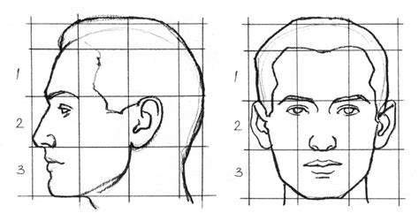 Основы рисования лица: пропорции и структура