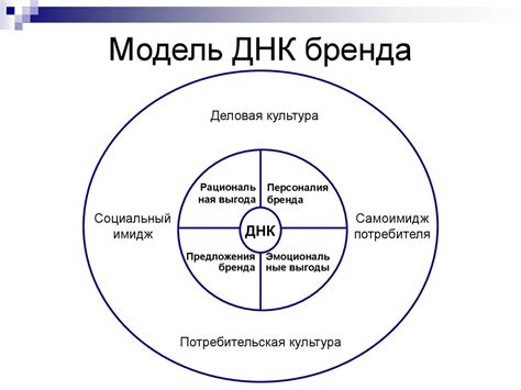 Основы создания и формирования сильного бренда