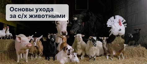 Основы ухода за блондом