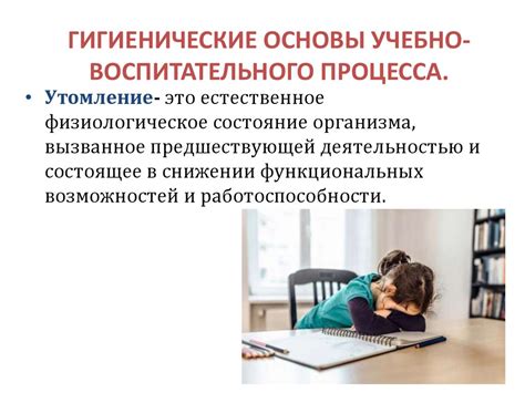 Основы учебно-воспитательного процесса