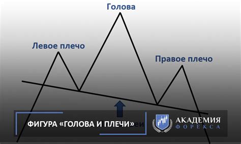 Основы фигуры "голова и плечи"