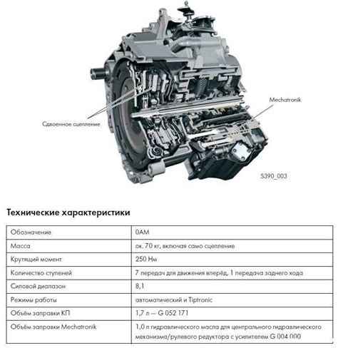 Особенности ДСГ и что нужно знать