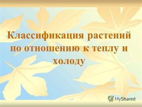 Особенности адаптации к холоду и теплу