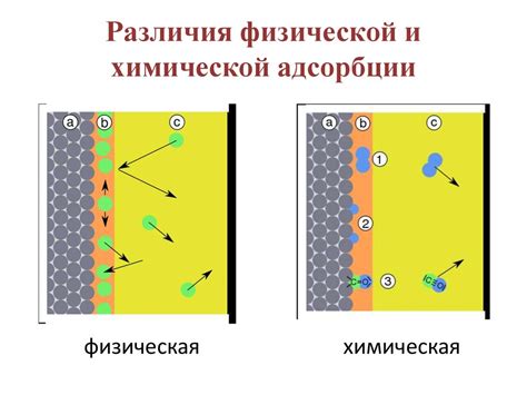 Особенности адсорбции в различных условиях