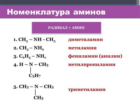 Особенности аминов