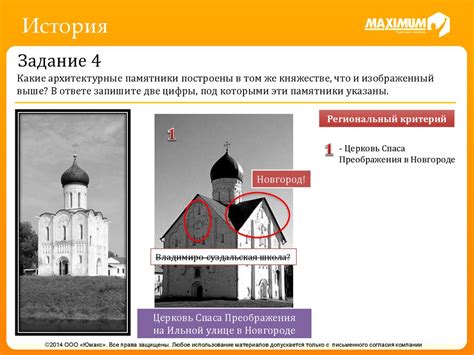 Особенности архитектуры муравьиного домика