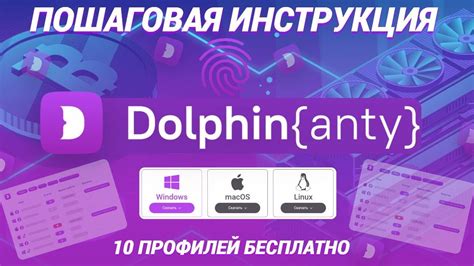 Особенности браузера Dolphin