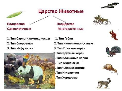 Особенности видов и родственных животных