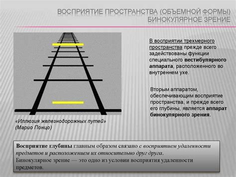 Особенности восприятия контрастов в ночное время