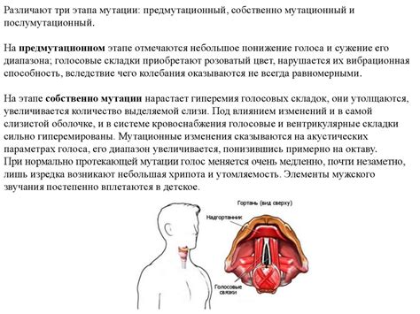 Особенности голоса