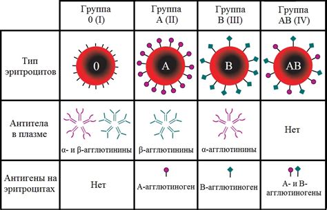 Особенности групп крови у новорожденных: