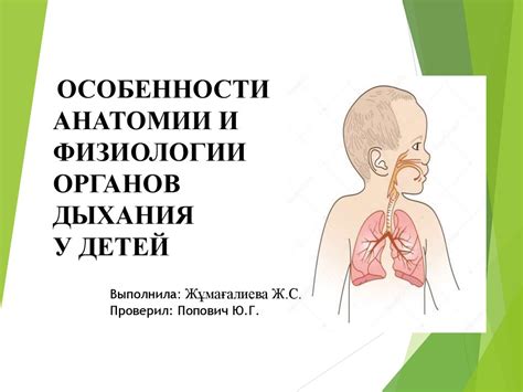 Особенности дыхания у детей