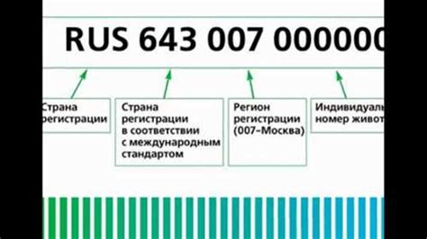 Особенности использования Кода ОКСМ