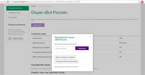 Особенности использования опций Вся Россия в роуминге