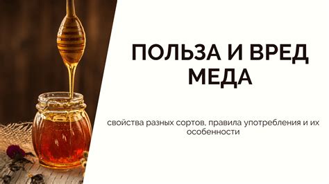 Особенности использования разных сортов меда