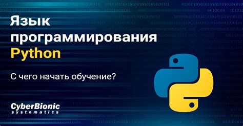 Особенности и принципы программирования на Python