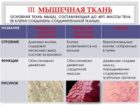 Особенности и свойства мховой ткани