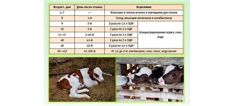 Особенности кормления в разные сезоны года