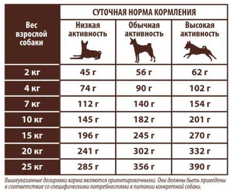 Особенности кормления собак ношпоей в зависимости от возраста