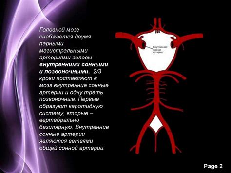 Особенности кровоснабжения головы