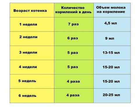 Особенности массажа животика у котенка в зависимости от возраста