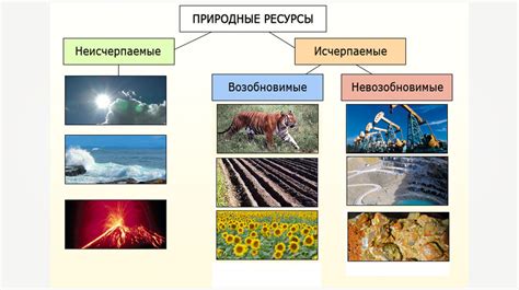 Особенности морского дна и природные ресурсы