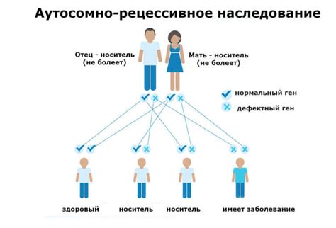 Особенности наследования по матери