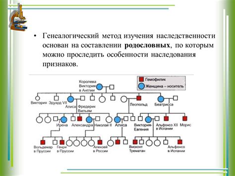 Особенности наследования по отцу