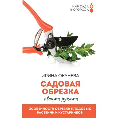 Особенности обрезки аиртача