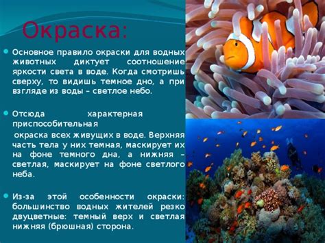 Особенности окраски воды