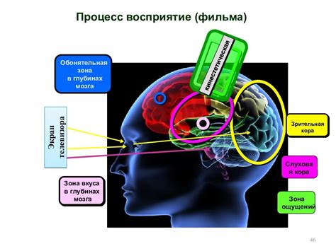 Особенности памяти человека