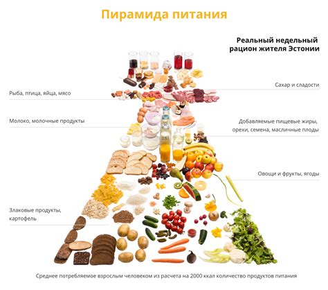 Особенности питания и рациональный выбор продуктов