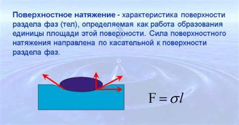 Особенности поверхностного натяжения воды