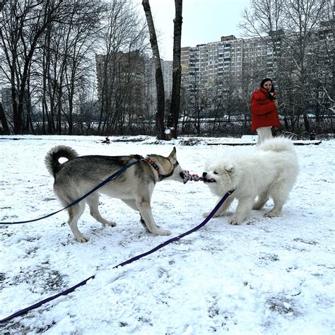 Особенности прогулок в разное время года