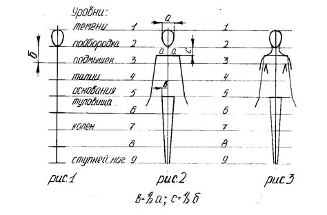 Особенности пропорций