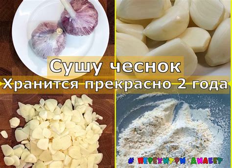 Особенности процесса сушки чеснока