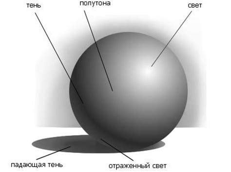 Особенности рисования теней и светотеней