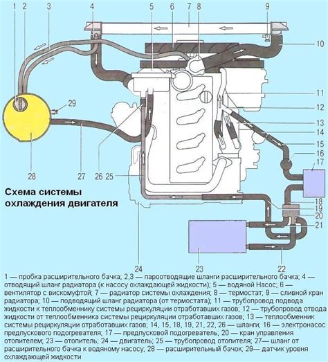 Особенности системы охлаждения на автомобиле Нива Шевроле инжектор 8 клапанов