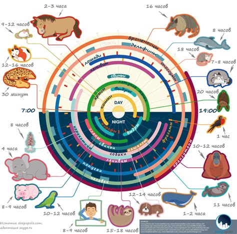 Особенности сна у животных
