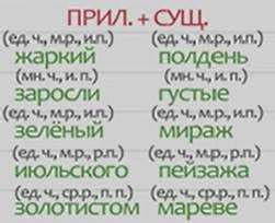 Особенности согласования прилагательных существительными