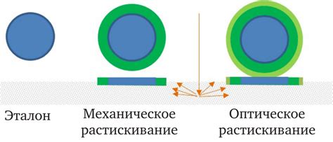 Особенности создания красочного водного плантажного КПК