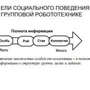 Особенности социальных животных