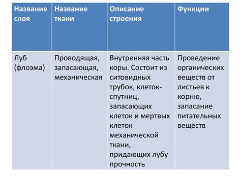 Особенности строения и функционирования "Тайной розы ботании"