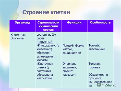 Особенности строения строки