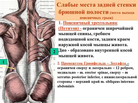 Особенности топографии