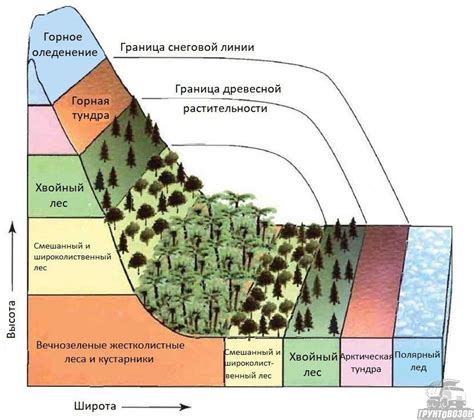 Особенности топологии горной местности