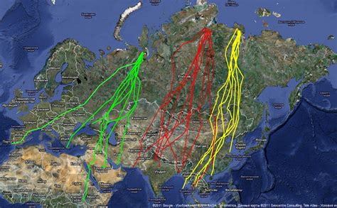 Особенности трассы миграции гусей