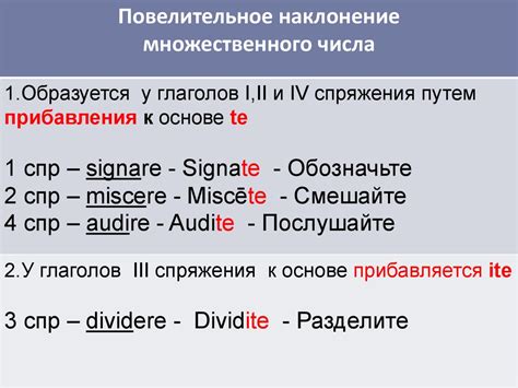 Особенности употребления глагола "бриться" в разных временах